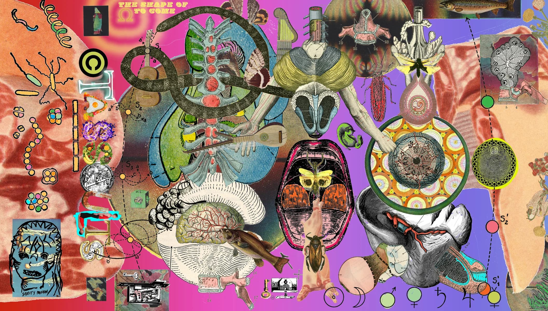 The Shape of Ω to Come