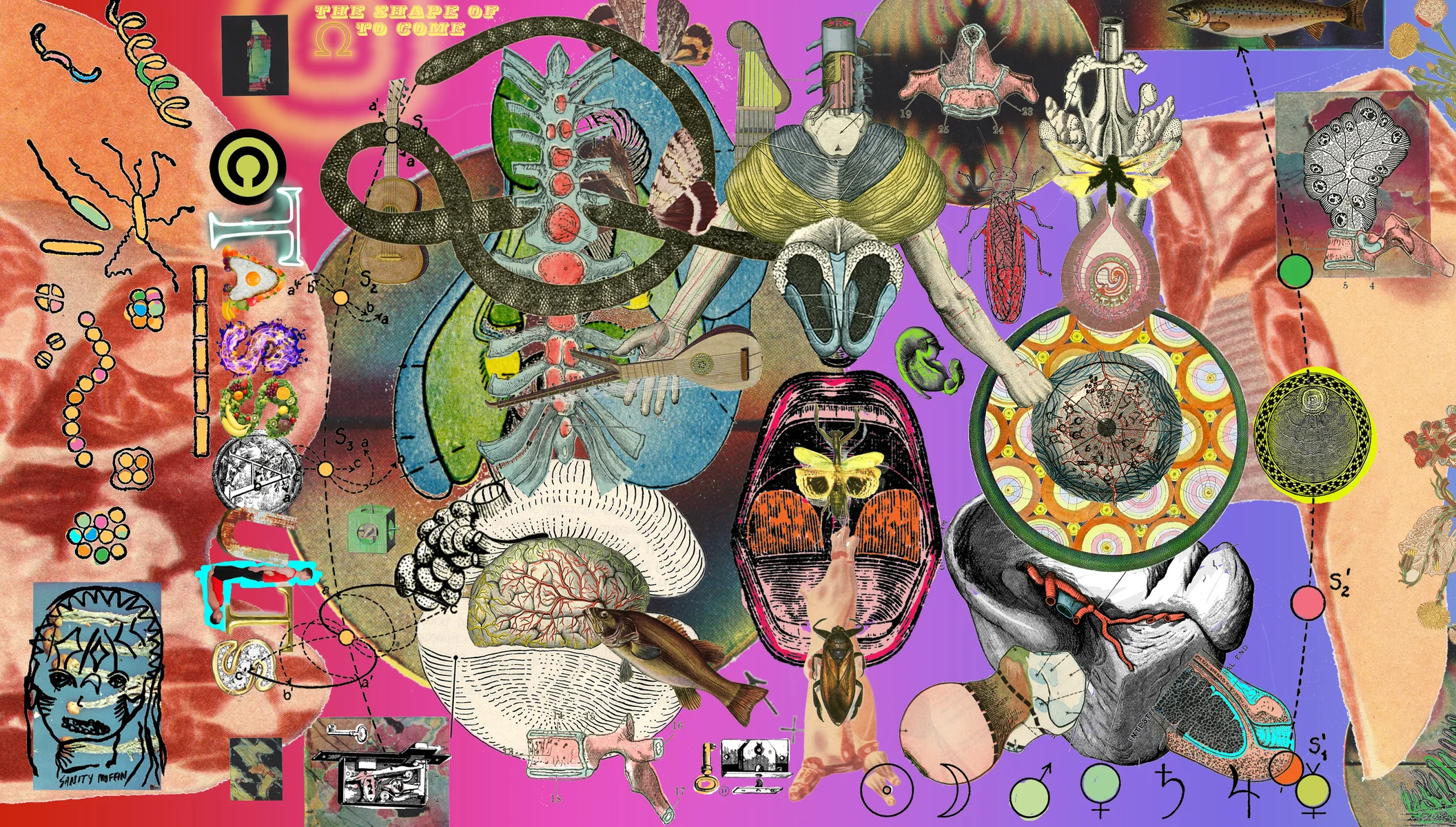 The Shape of Ω to Come album artwork